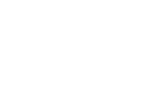Viteks Market
